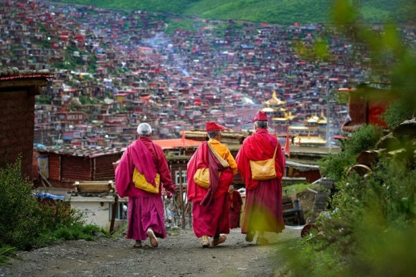 canh-dep-larung-gar