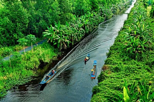 Ngắm động - thực vật khi tham quan rừng U Minh Hạ.