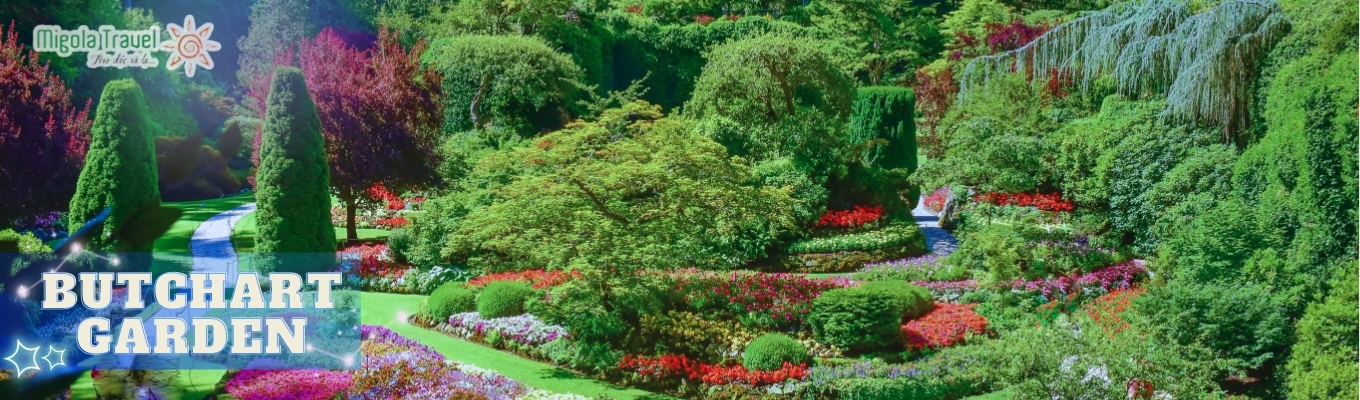 Được mệnh danh là khu vườn có đến 5 mùa của đảo Victoria, vườn hoa Butchart Garden. Với khung cảnh thiên nhiên tuyệt đẹp, sự kết hợp hoàn hảo giữa thảm thực vật trong vườn, được tô điểm bởi những khóm hoa đầy màu sắc tạo, cùng với sự sáng tạo của những người thợ làm vườn tài ba tạo thành “vườn địa đàng” của Bắc Mỹ.