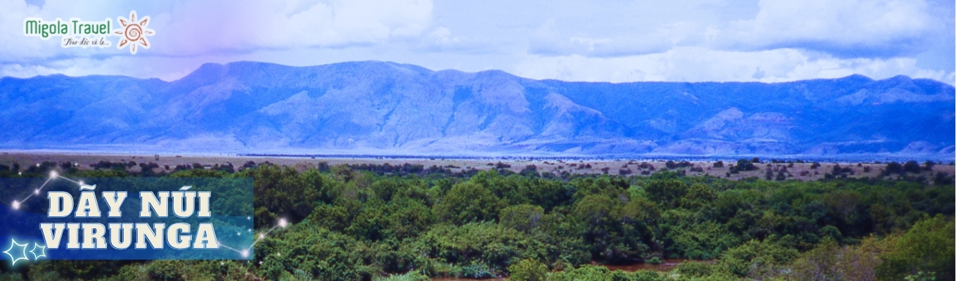 Vùng núi Virunga – một dãy núi gồm liên hoàn 8 ngọn núi lửa lớn, một trong số chúng vẫn còn đang hoạt động. Vườn quốc gia Núi Lửa – Rwanda được phân định với 5 trong số 8 ngọn núi lửa của dãy Virunga. Điểm đặc biệt nhất của nơi đây chính là cuộc đời nghiên cứu về loài linh trưởng của nhà linh trưởng học người Mỹ - Dian Fossy. Sau khi dành cả cuộc đời của mình gắn liền với “ngôi nhà của Gorilla”, bà Dian đã mất và được chôn cất trong chính khuôn viên Vườn quốc gia Núi Lửa bên cạnh những “người bạn Gorilla” của bà.